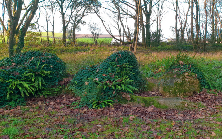 Lady sleeping created from grass and plants with trees in background