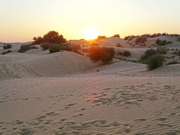 Sunset over Desert hills with small shrubs and footprints in sand