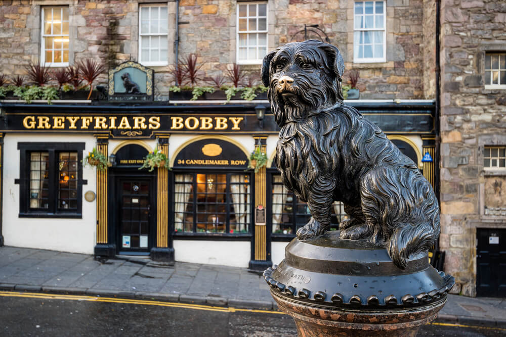 How to Have the Perfect 3 Day Edinburgh Weekend
Statue on greyfriar's Booby dog in front of pub