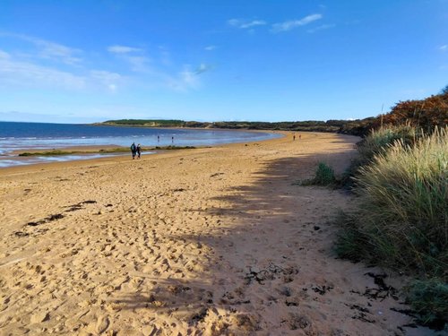 Day Trips from Edinburgh In search of beaches
Yellow sandy beach, grassy dunes on right and sea and people in distance