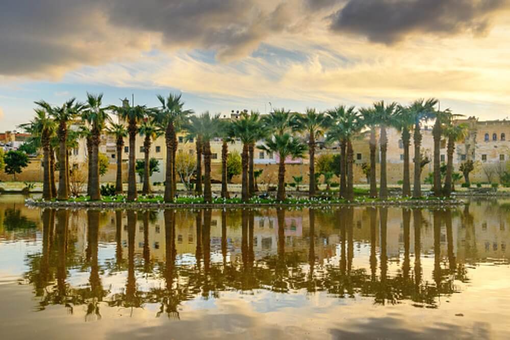 Second city Fez, Morocco, Jardin Jnan Sbil, a lake with palm trees on an island with sand coloured buildings behind