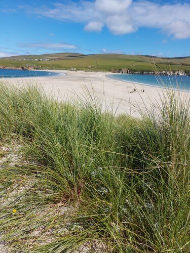 Looking through Dune grass to sandy tombola with blue sea on both sides leading to green fields and cliffs