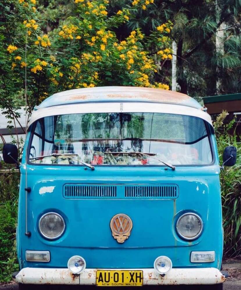 1st solo destination roadtrip using Old style VW campervan in front of tree with yellow flowers