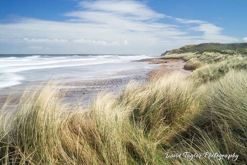 Day trips from Edinburgh, Image of Cocklawburn beach