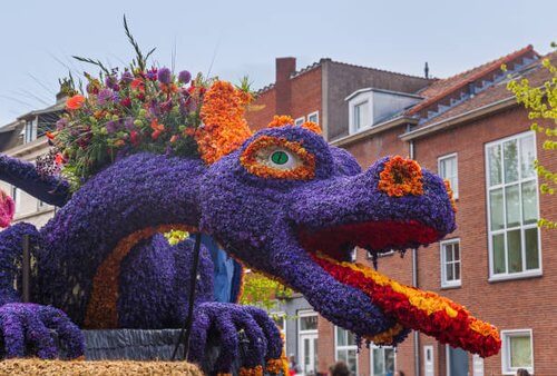 Keukenhof
Statue of dragon made out of purple flowers, with a red and orange tongue, eyes and nostrils with a mane of multicoloured flowers with a house in background