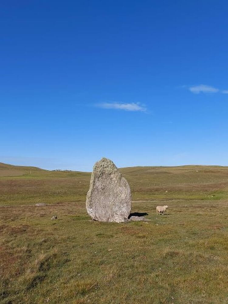 standing stone in field with sheep, clear blue sky