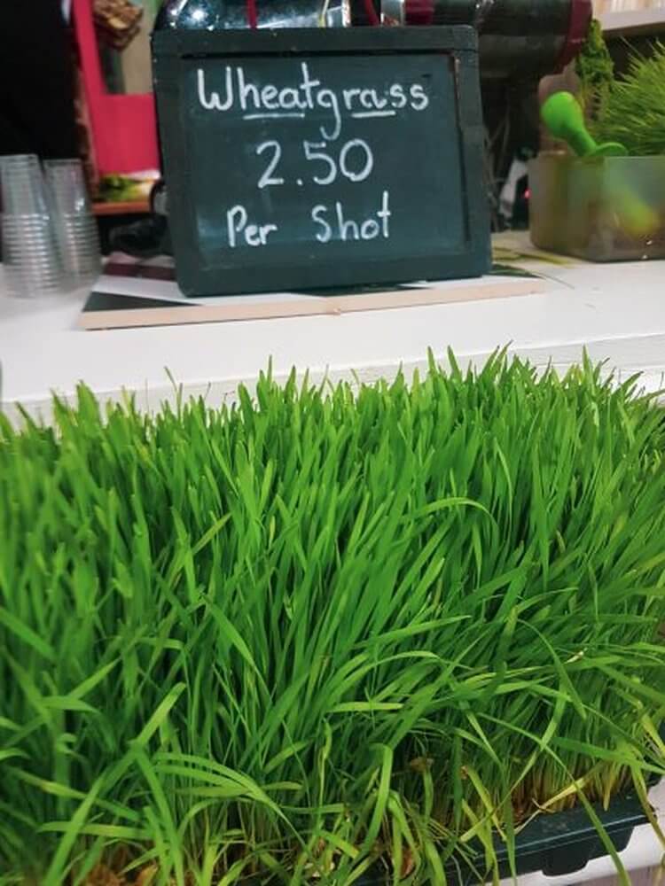 Display of wheat grass with handwritten sign sign on blackboard saying Wheatgrass 2.50 per shot