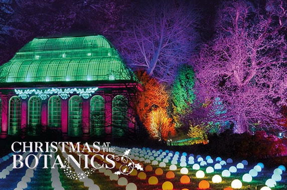 The best way to see Edinburgh Christmas markets in 2023
Image of Christmas at the Botanics event