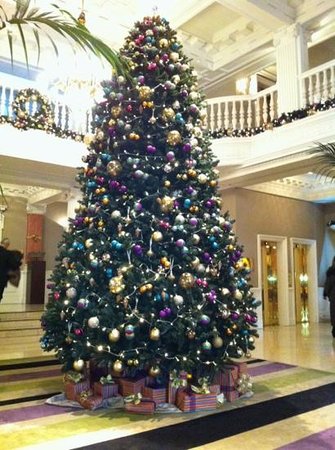 The Best Way to Visit Edinburgh Christmas Market in 2023
Image of the Christmas tree in the foyer of the Balmoral Hotel Edinburgh